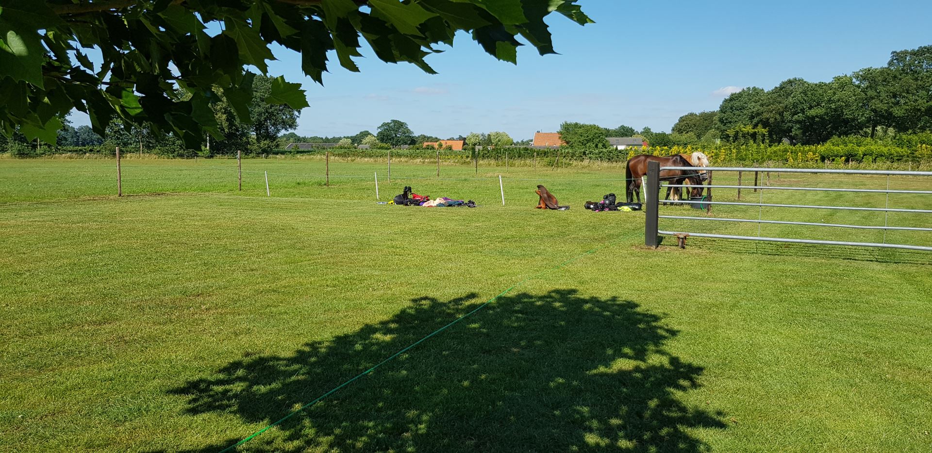 Minicamping De Nieuwe Bosplaats