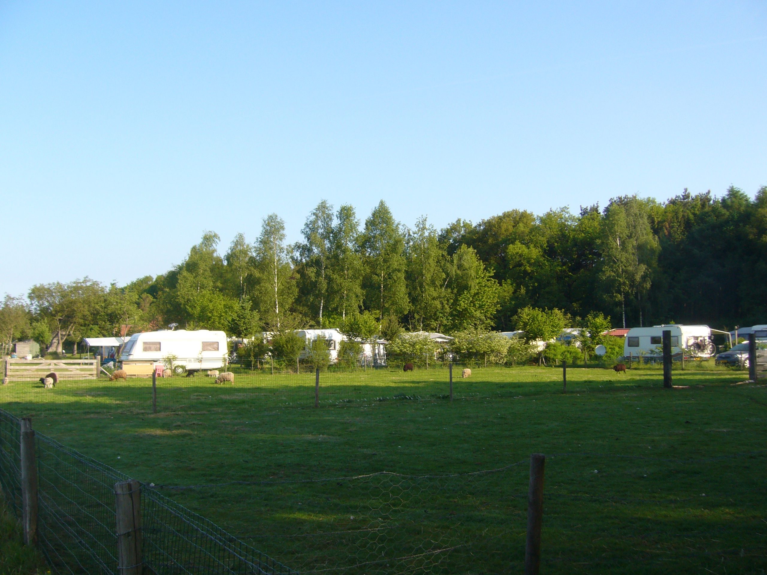 Minicamping De Nieuwe Welpshof