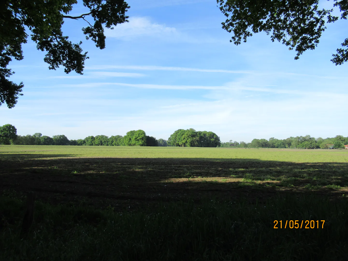 Minicamping De Nieuwe Welpshof