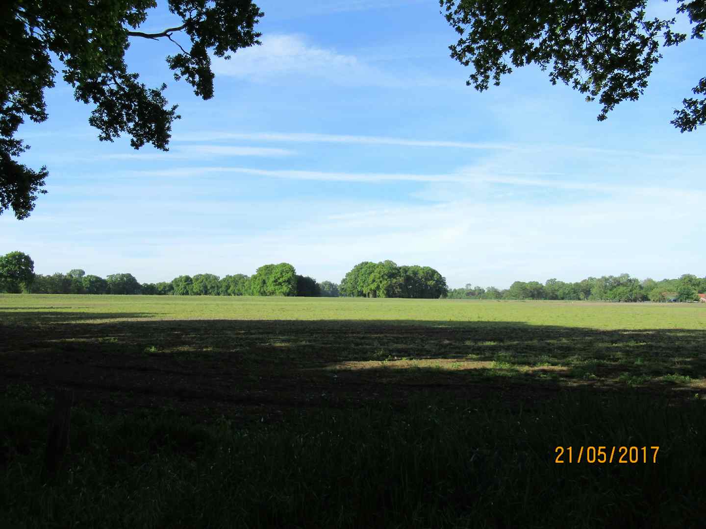 Minicamping De Nieuwe Welpshof