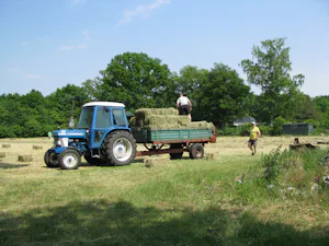 Minicamping De Nieuwe Welpshof