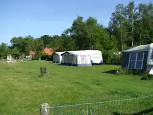Campingwiese mit mehreren Zelten und Wohnwagen, umgeben von Bäumen und einem Zaun im Grünen.
