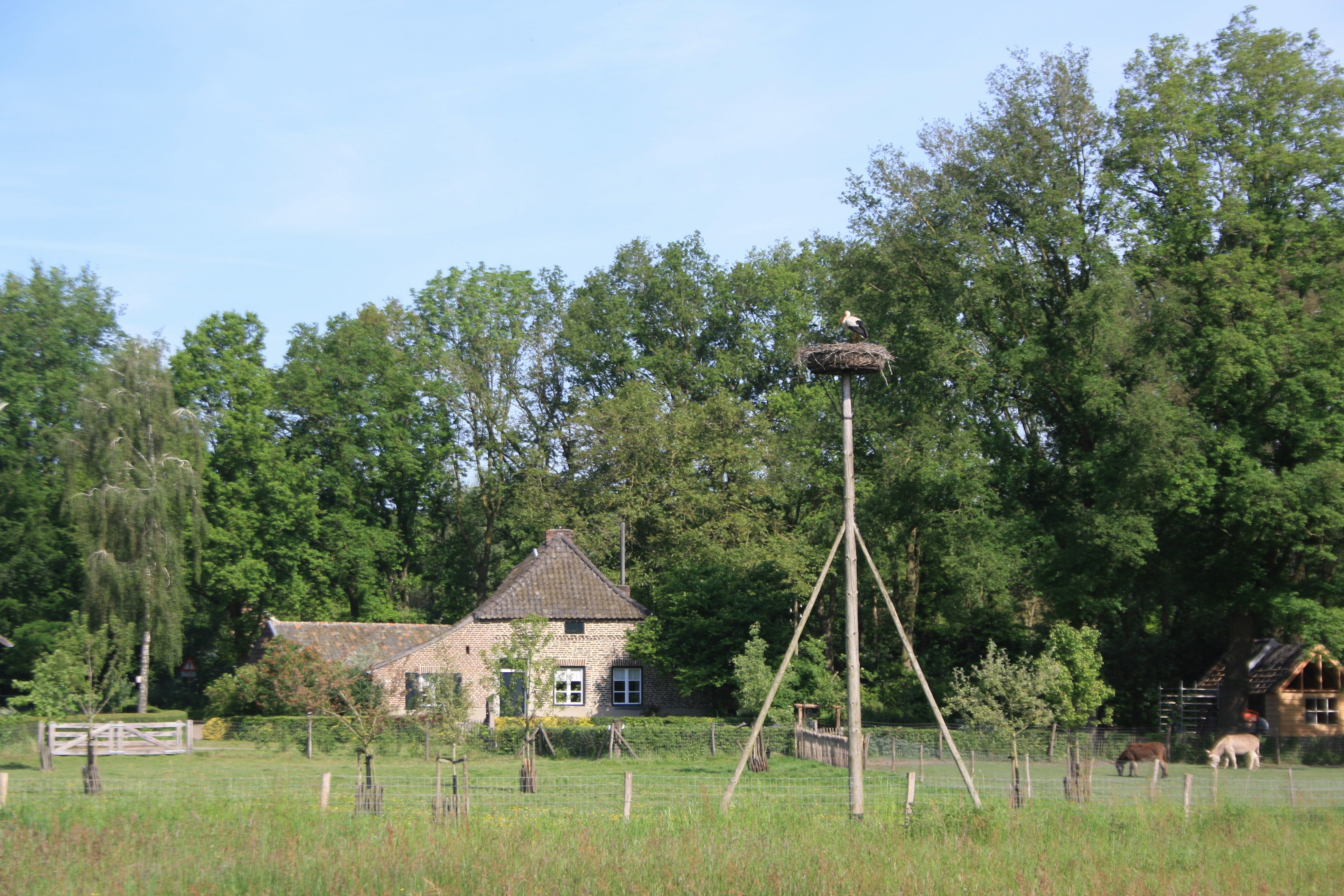 Minicamping De Plaats - Standplätze