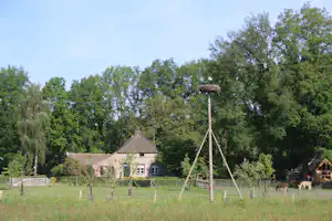 Storchennest auf einem Holzgestell über dem Tiergehege, im Hintergrund ein Backsteinhaus und viele Bäume.
