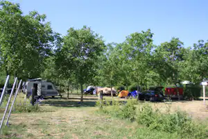 Campingplatz mit Wohnwagen und Zelten zwischen Bäumen, Rasenfläche und geparkten Autos im Hintergrund.