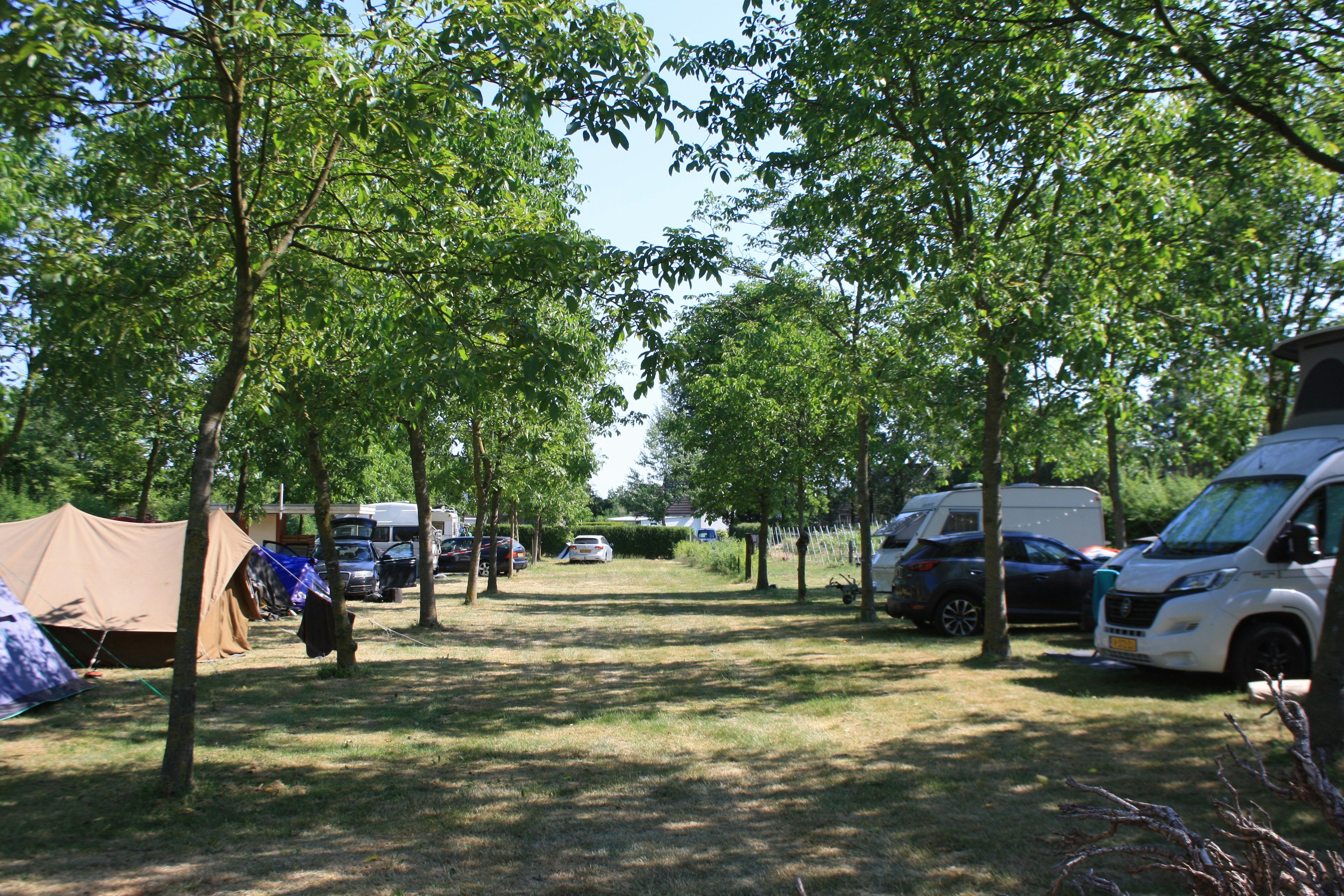 Minicamping De Plaats - Standplätze auf dem Campingplatz unter Bäumen