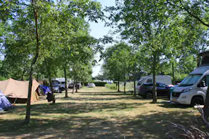 Campingplatz mit Zelt und geparkten Autos und Wohnmobilen zwischen Baumreihen auf einer Wiese.