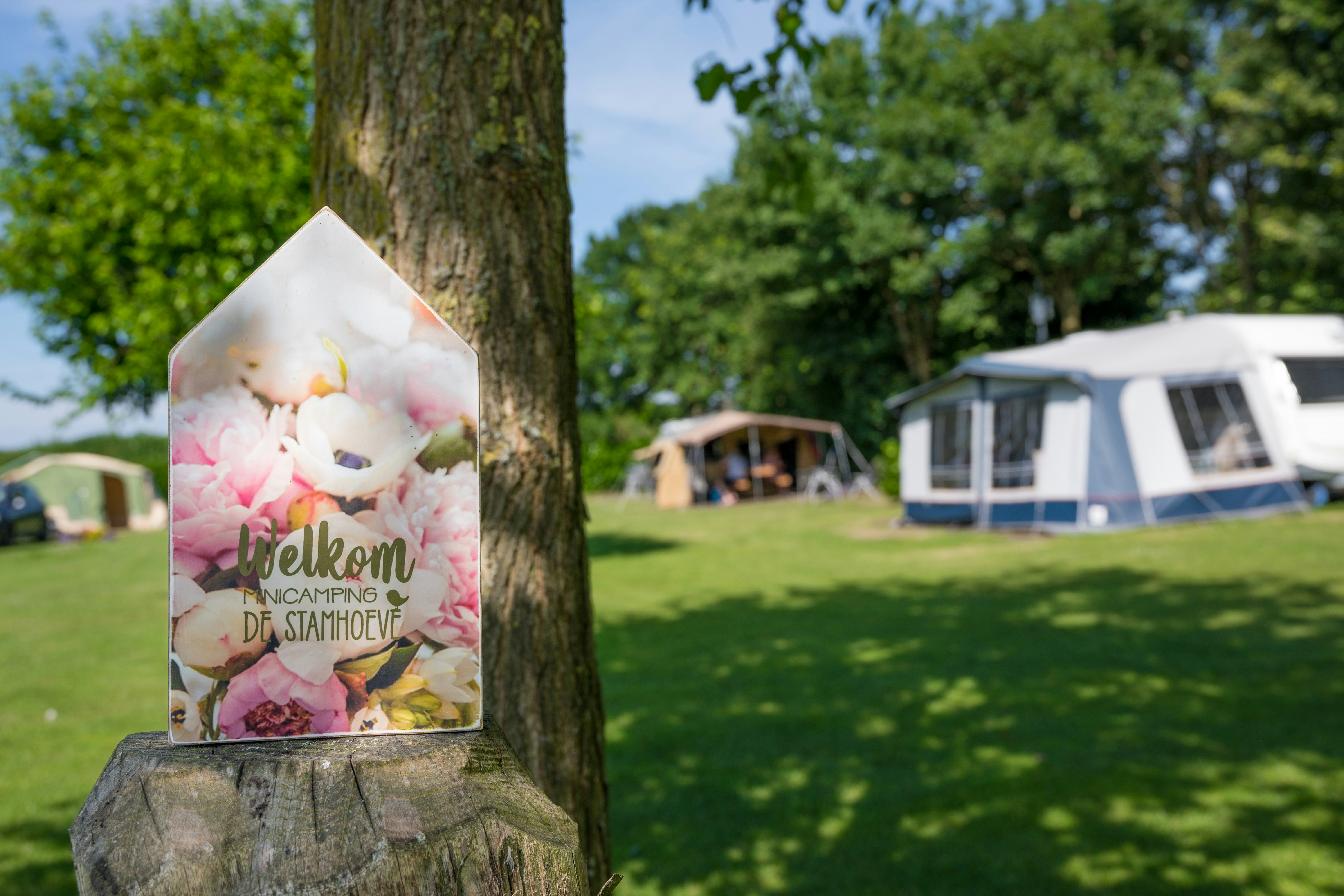 Minicamping De Stamhoeve - Standplatzwiese auf dem Campingplatz