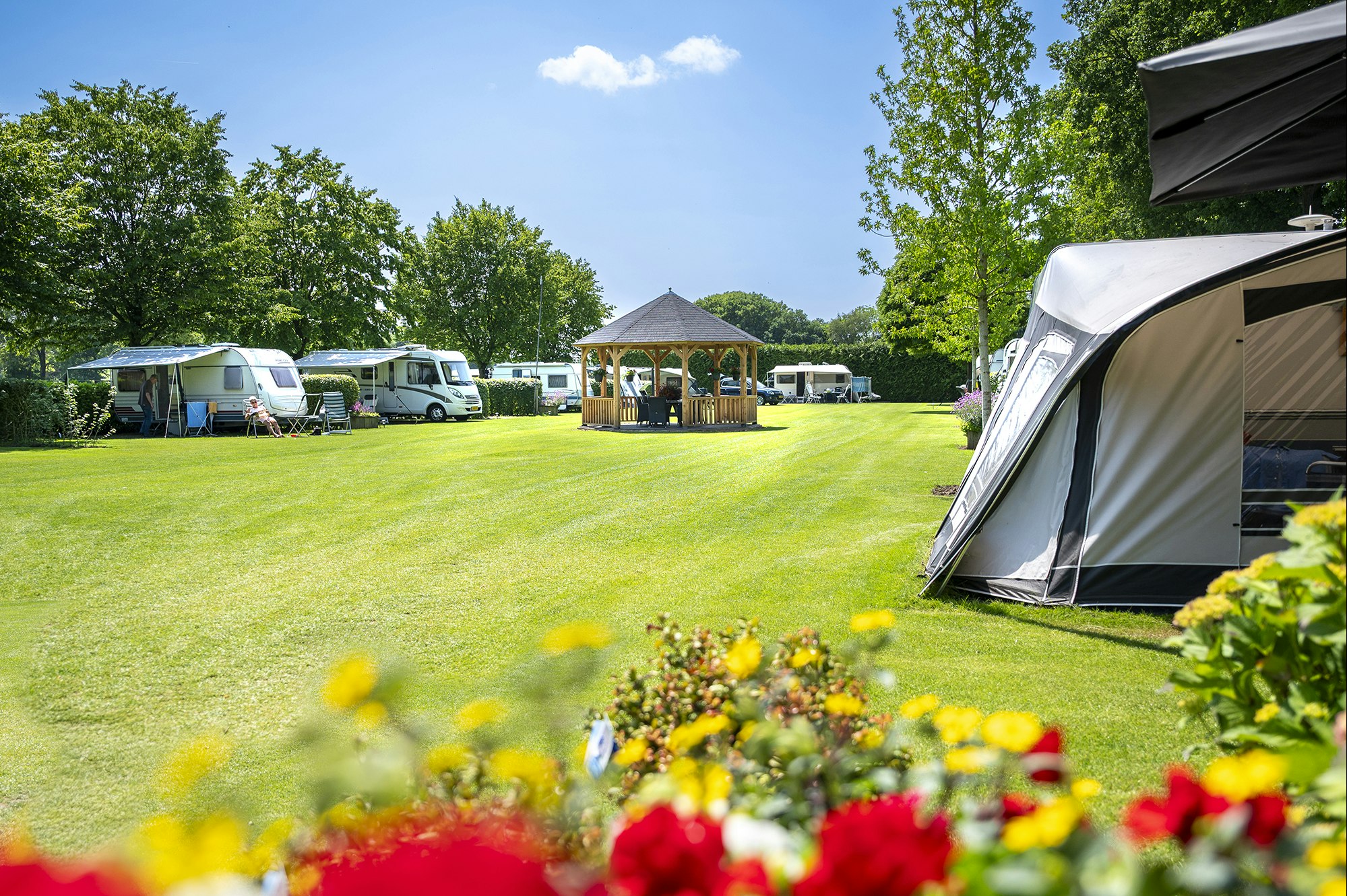 Minicamping De Tramhalte - Standplätze auf der Wiese auf dem Campingplatz