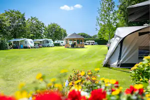 Minicamping De Tramhalte - Standplätze auf der Wiese auf dem Campingplatz