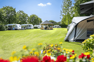 Minicamping De Tramhalte - Standplätze auf der Wiese auf dem Campingplatz