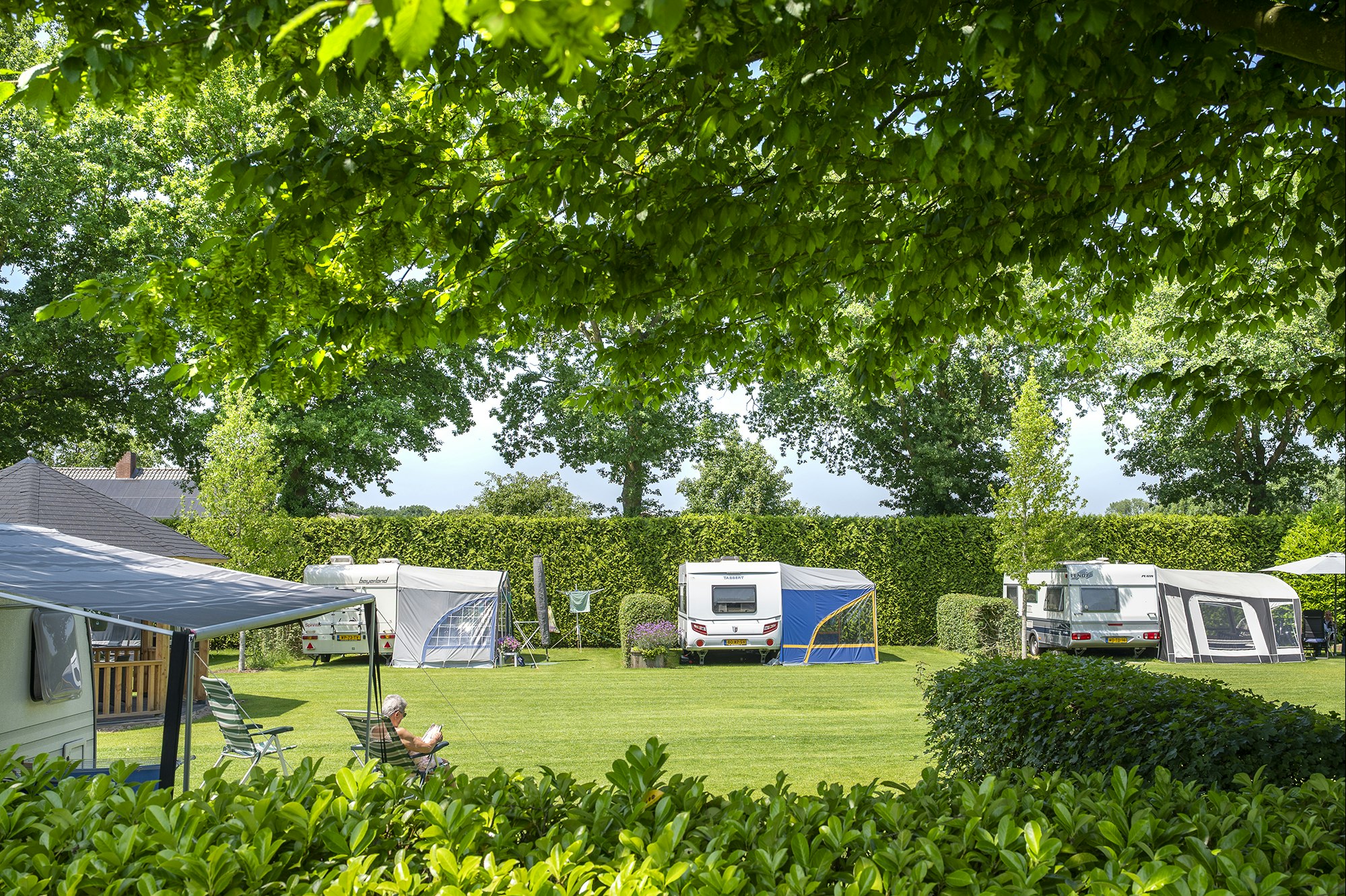Minicamping De Tramhalte - Standplatzwiese auf dem Campingplatz