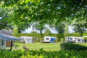 Minicamping De Tramhalte - Standplatzwiese auf dem Campingplatz