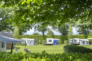 Minicamping De Tramhalte - Standplatzwiese auf dem Campingplatz