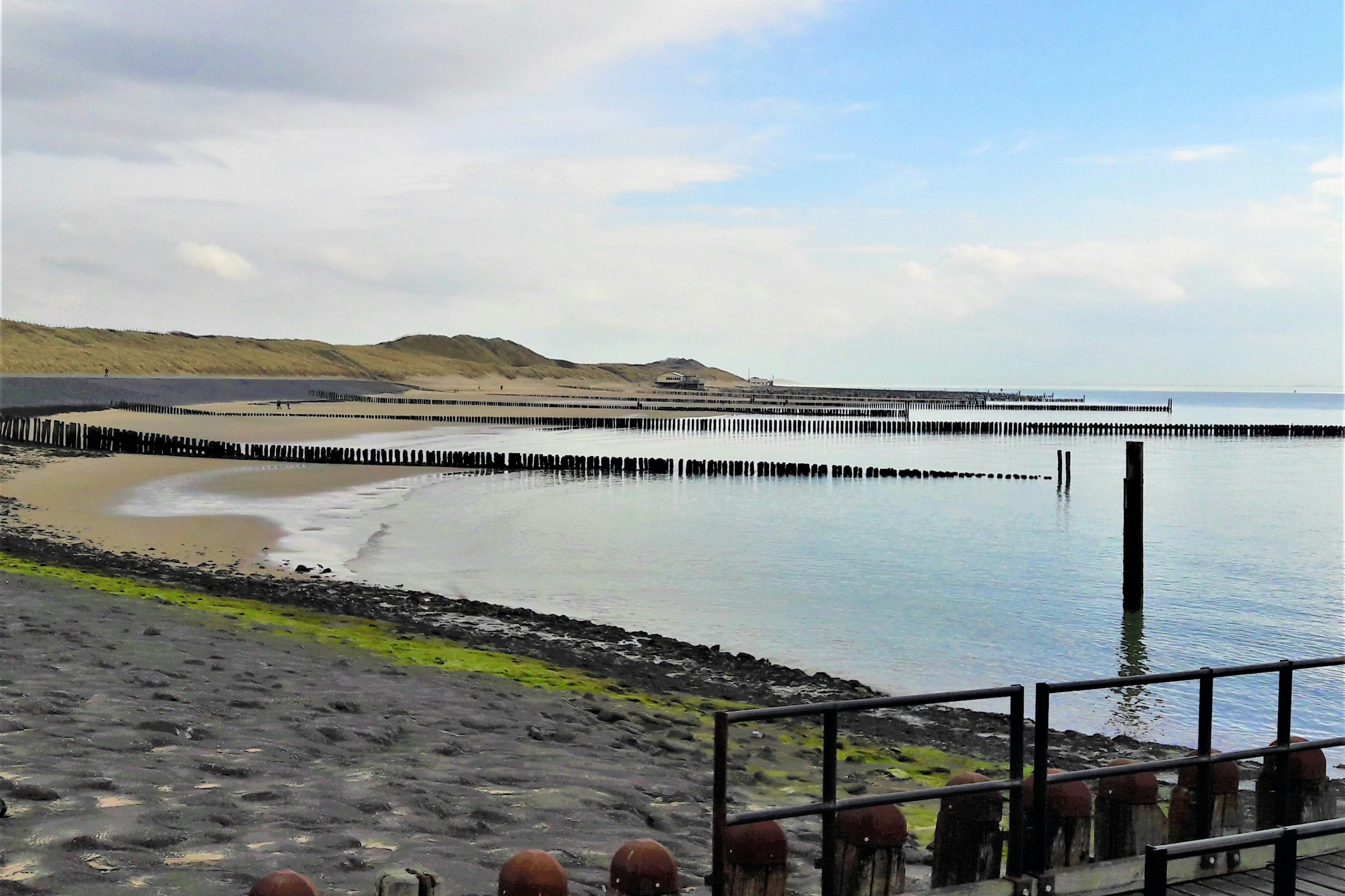 Minicamping De Vuurtoren - Blick auf den Strand in der Nähe des Campingplatzes
