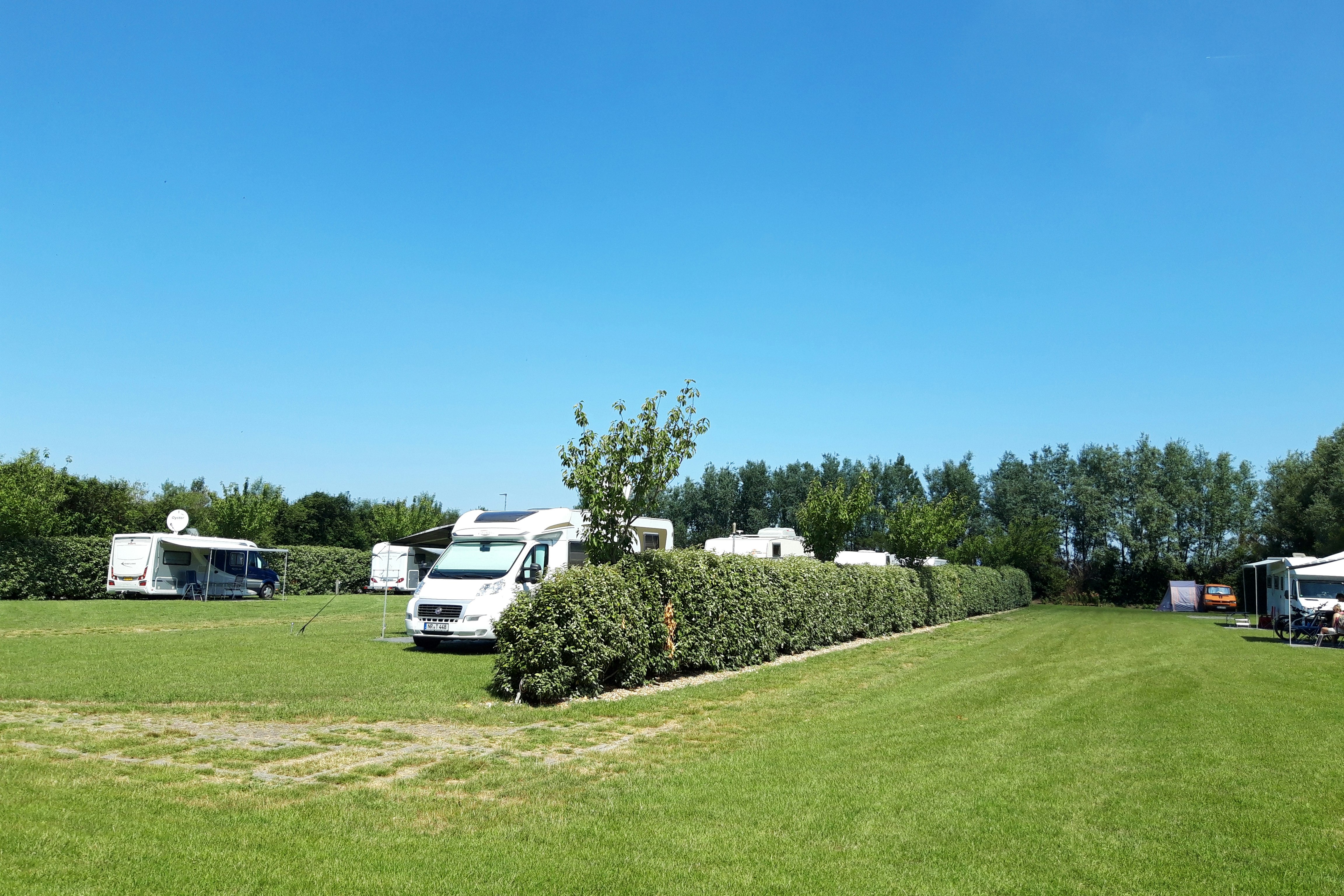 Minicamping De Vuurtoren - Blick auf die Stellplätze auf der Wiese