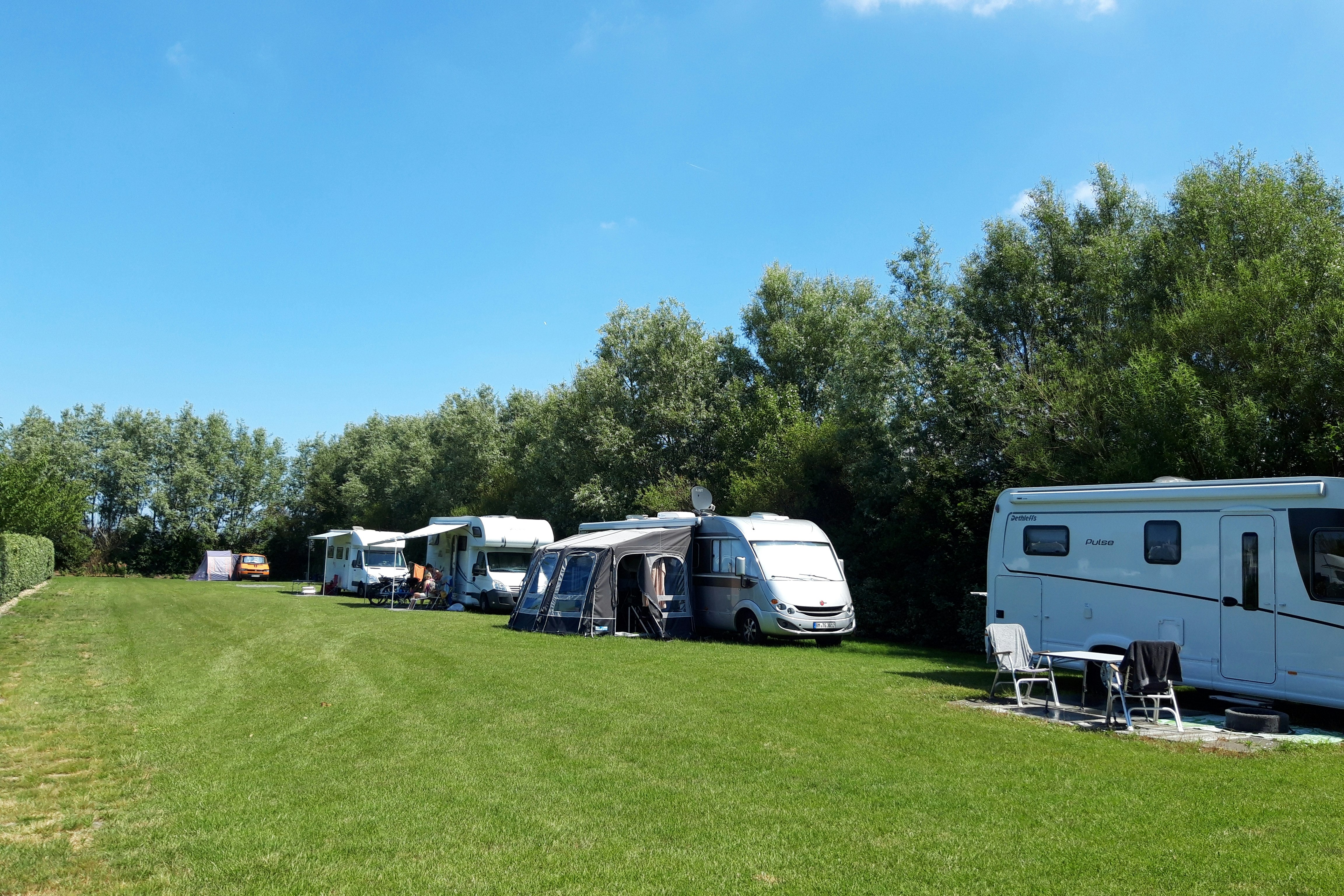 Minicamping De Vuurtoren - Stellplätze auf der Wiese des Campingplatzes