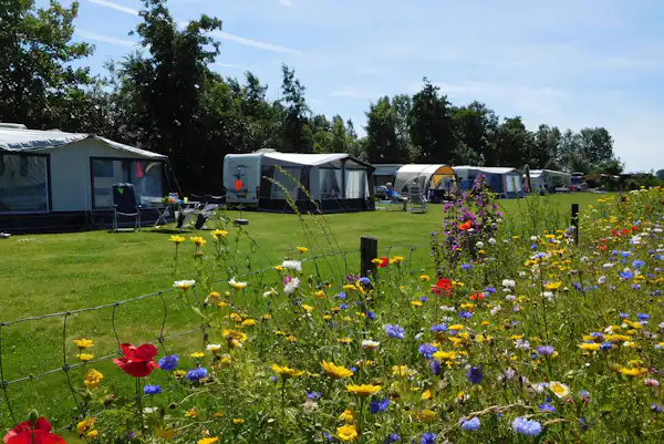 Minicamping de Westert