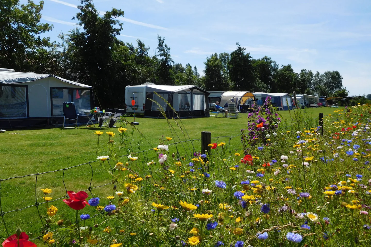 Minicamping de Westert