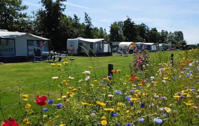 Minicamping de Westert