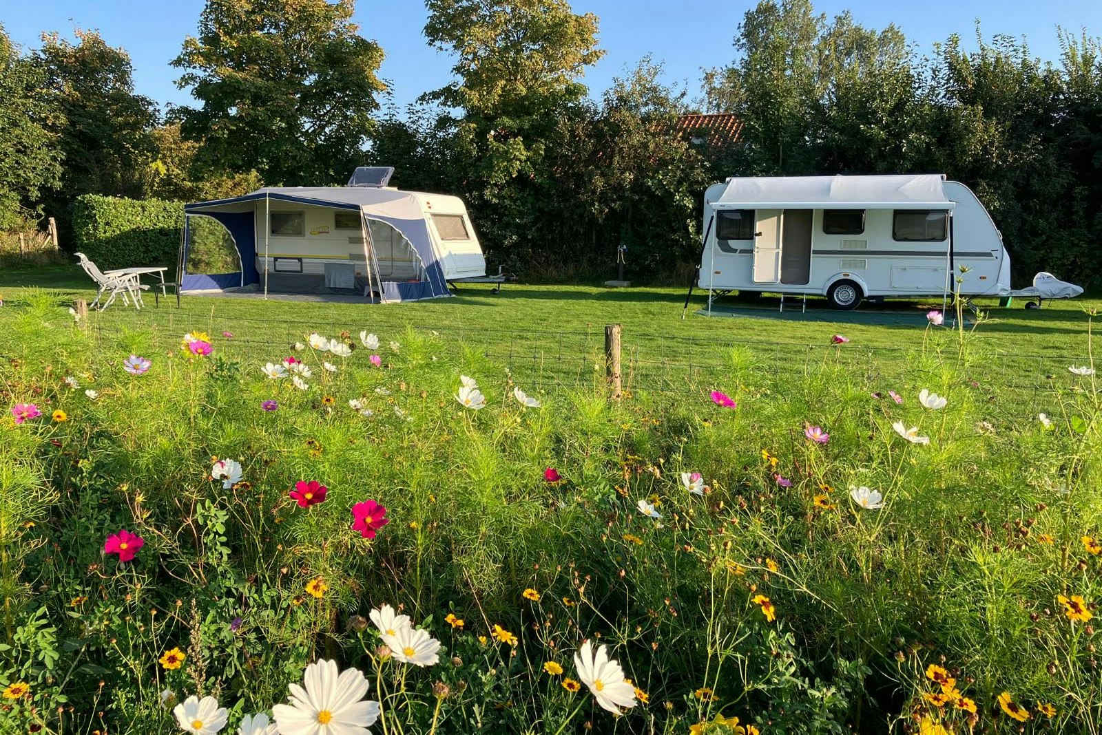 Minicamping de Westert - Standplatzwiese auf dem Campingplatz