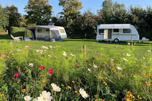 Minicamping de Westert - Standplatzwiese auf dem Campingplatz