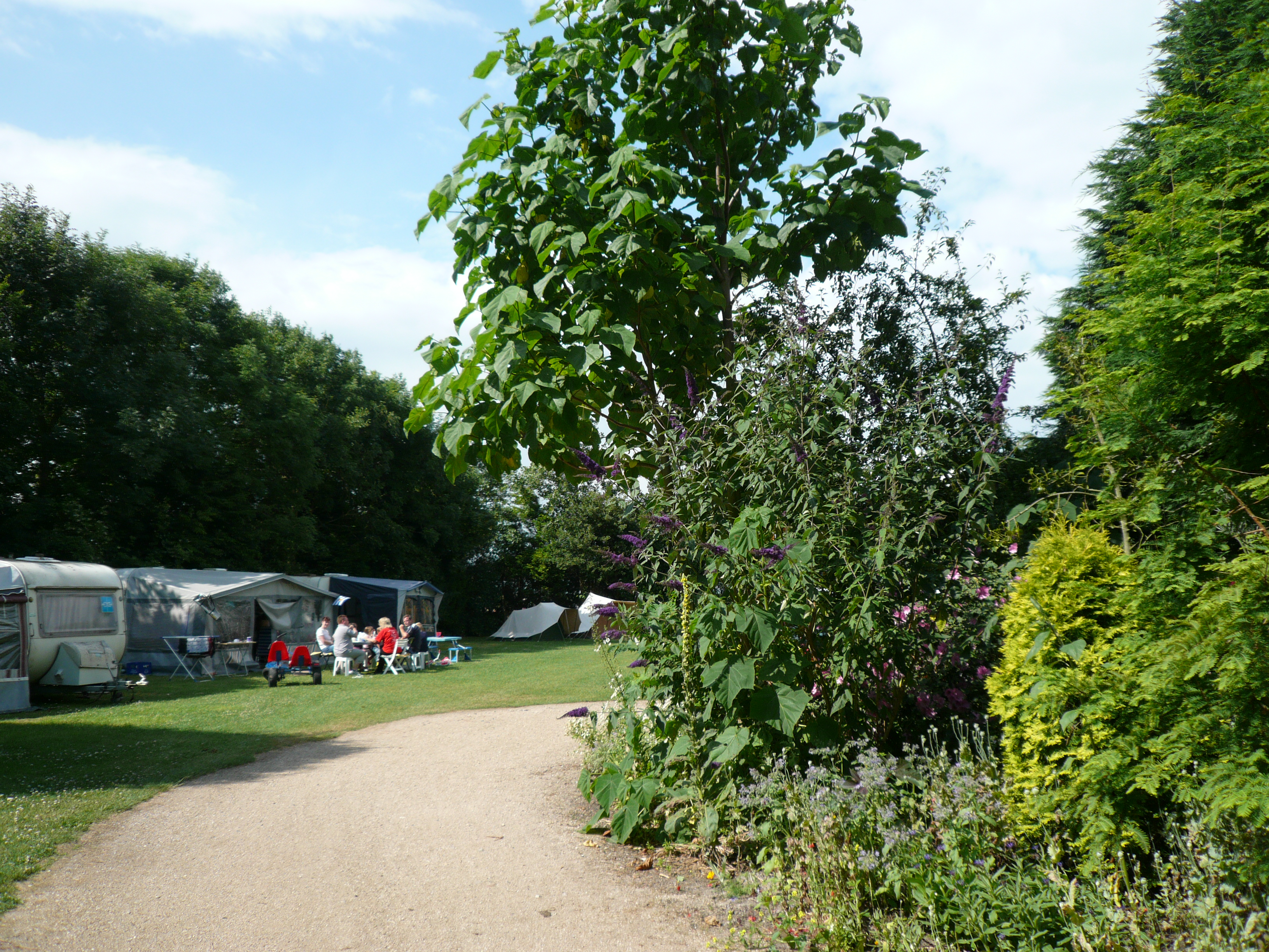 Minicamping De Wilde Flora