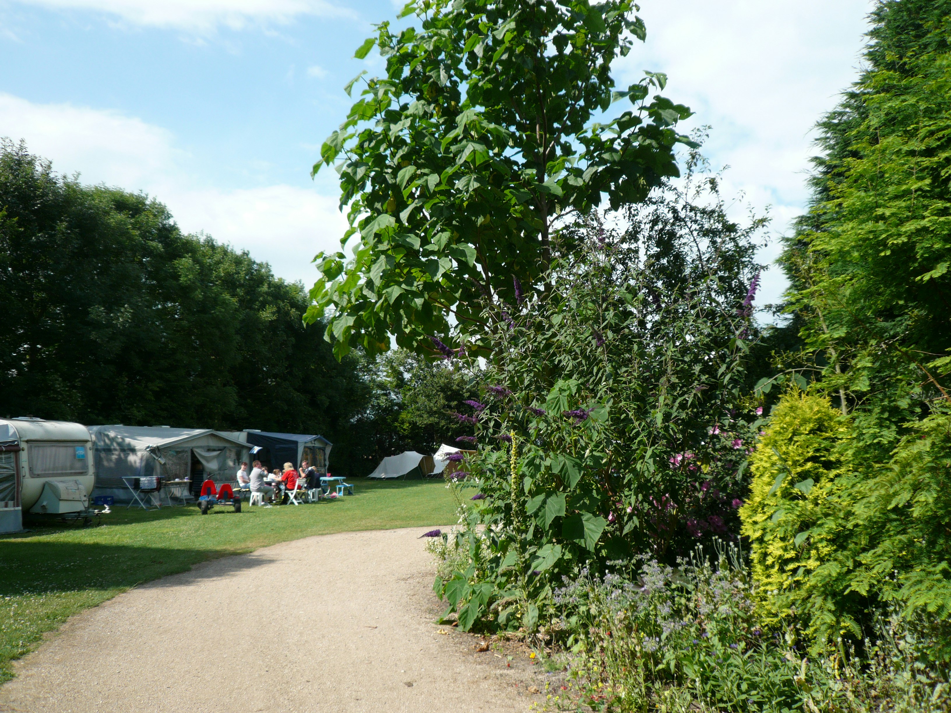 Minicamping De Wilde Flora