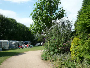 Minicamping De Wilde Flora