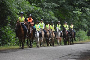 Minicamping De Wolvenhoeve