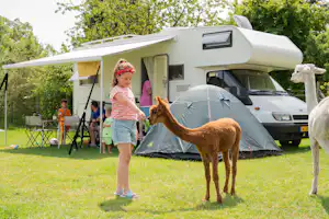 Wohnmobil und Zelt auf dem Campingplatz im Grünen, daneben ein Kind mit einem braunen Lama und ein weiteres Tier im Vordergrund.