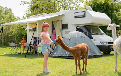 Boerderij Camping Wilgenhart