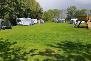 Minicamping en stalling De Heuvel - Standplatzwiese auf dem Campingplatz