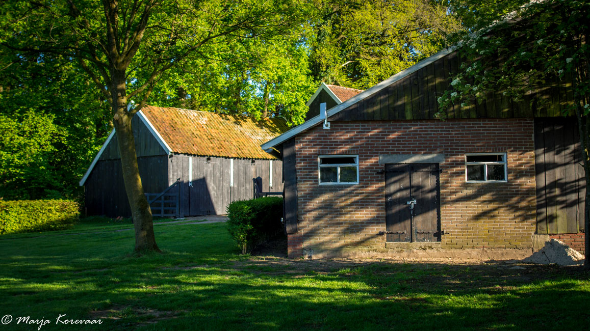 Minicamping Erve Mölman