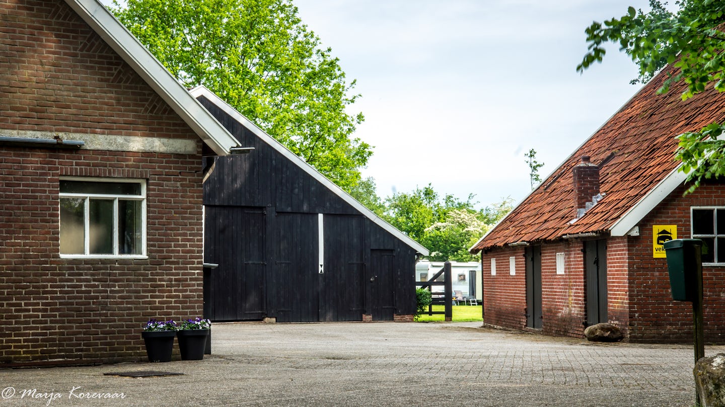 Minicamping Erve Mölman