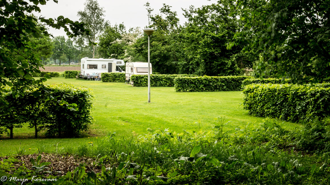 Minicamping Erve Mölman