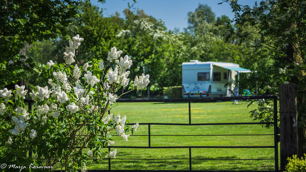 Minicamping Erve Mölman