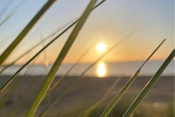 Hart aan Zee