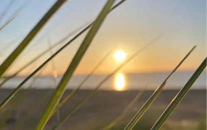Hart aan Zee