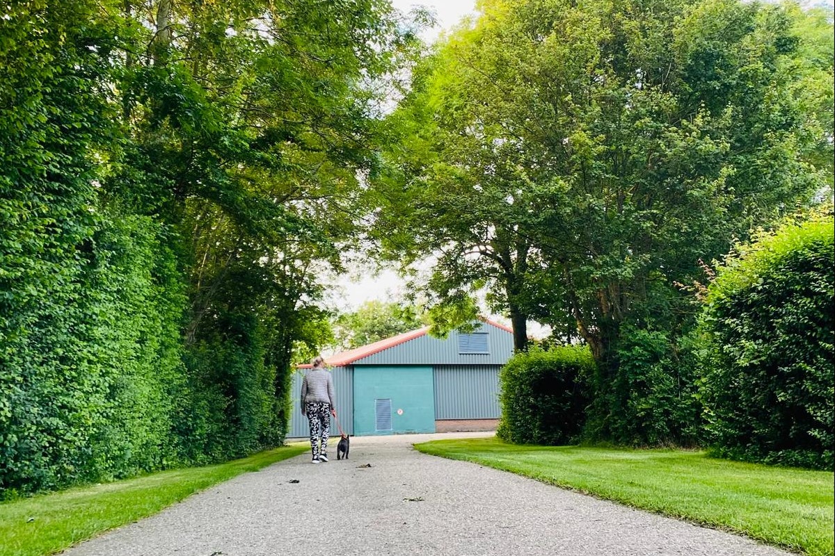 Minicamping Groenhil - Camperin mit Hund beim Spazieren auf dem Campingplatz