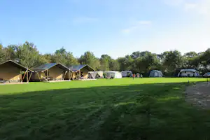 Minicamping Hendriks Wijkje - Wiese mit Standplätzen und Glamping-Zelten