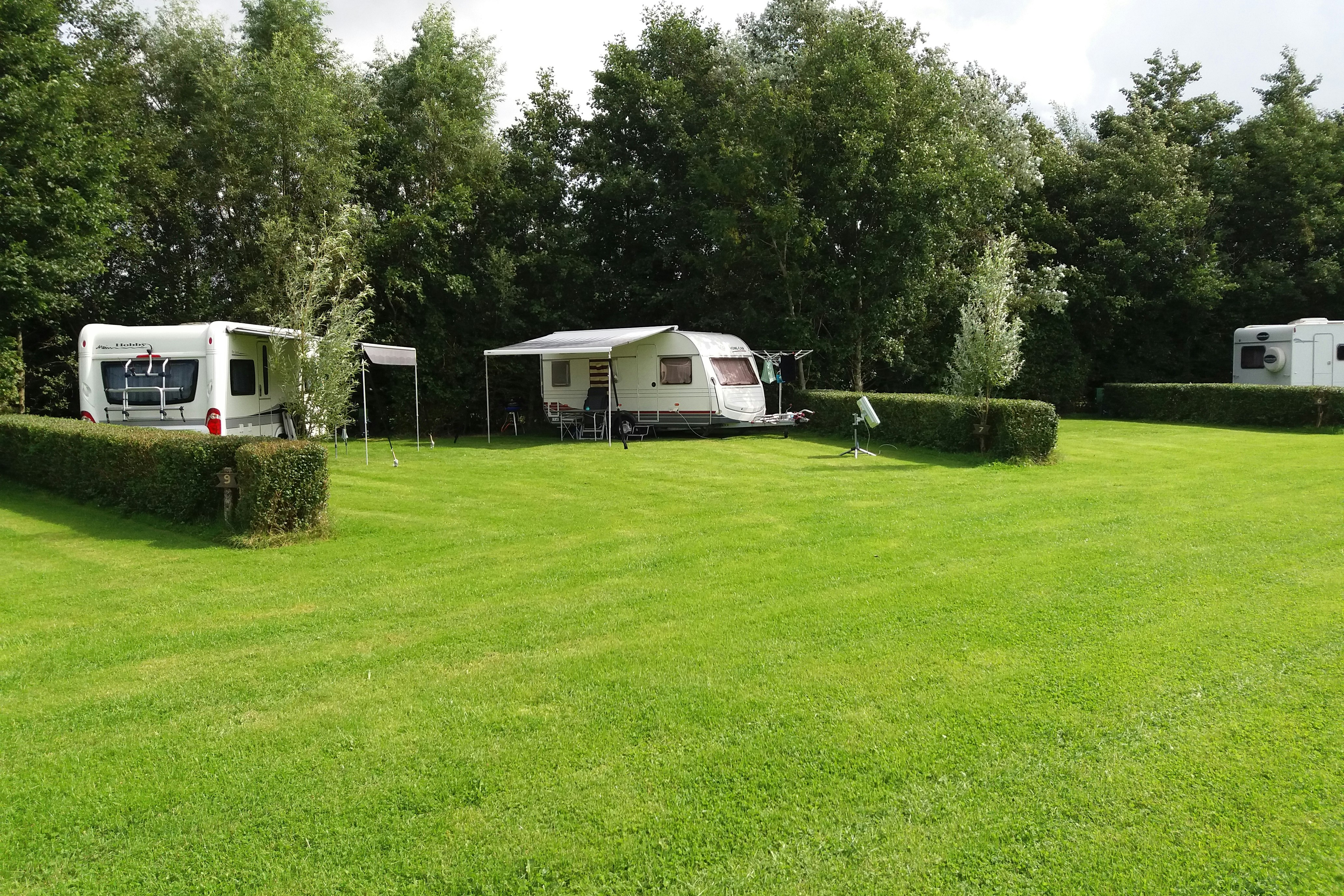 Minicamping Het Twiskerveld - Standplatzwiese auf dem Campingplatz
