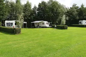 Minicamping Het Twiskerveld - Standplatzwiese auf dem Campingplatz