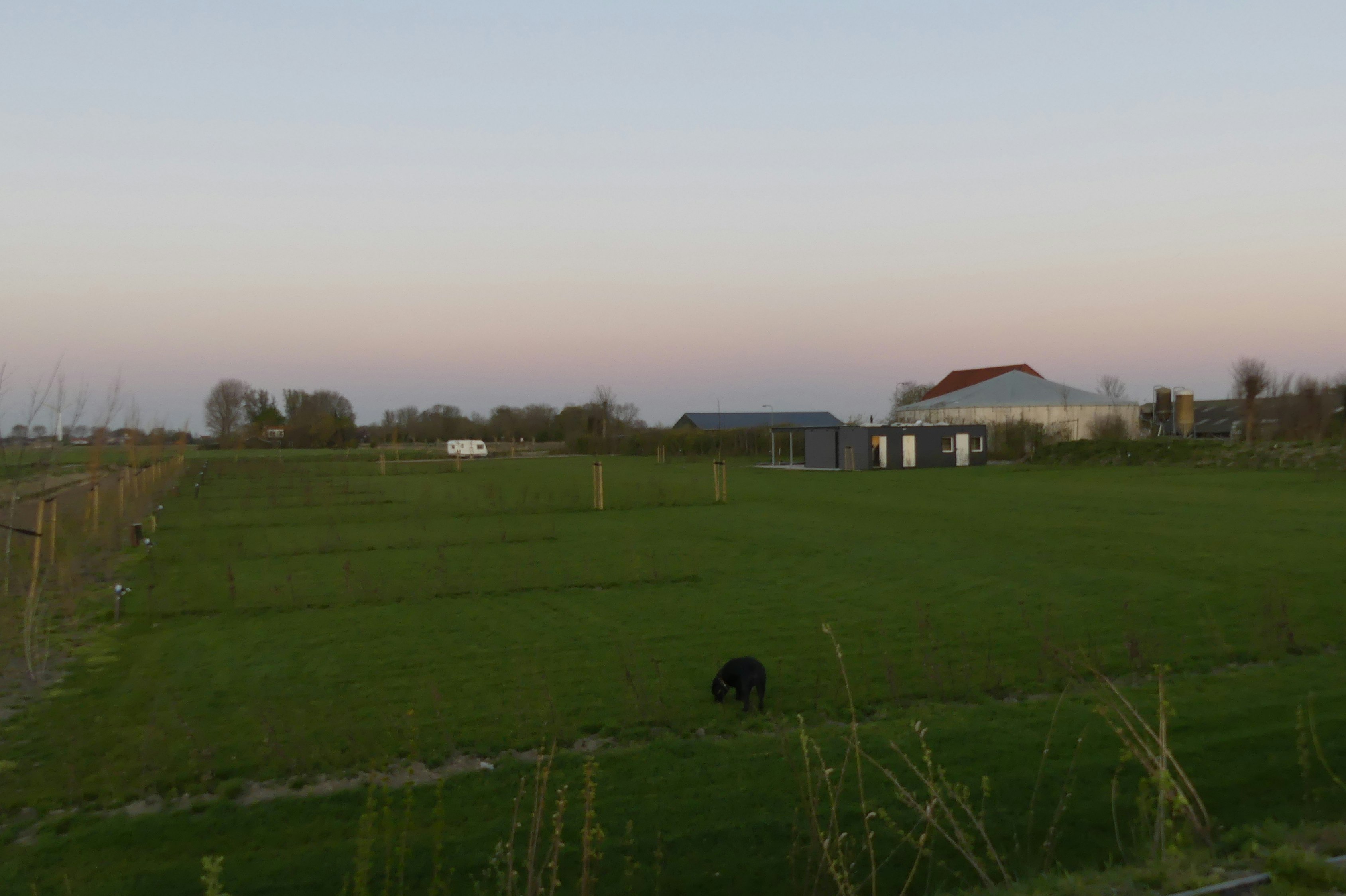 Minicamping Hof Zwagerman - Standplatzwiese auf dem Campingplatz