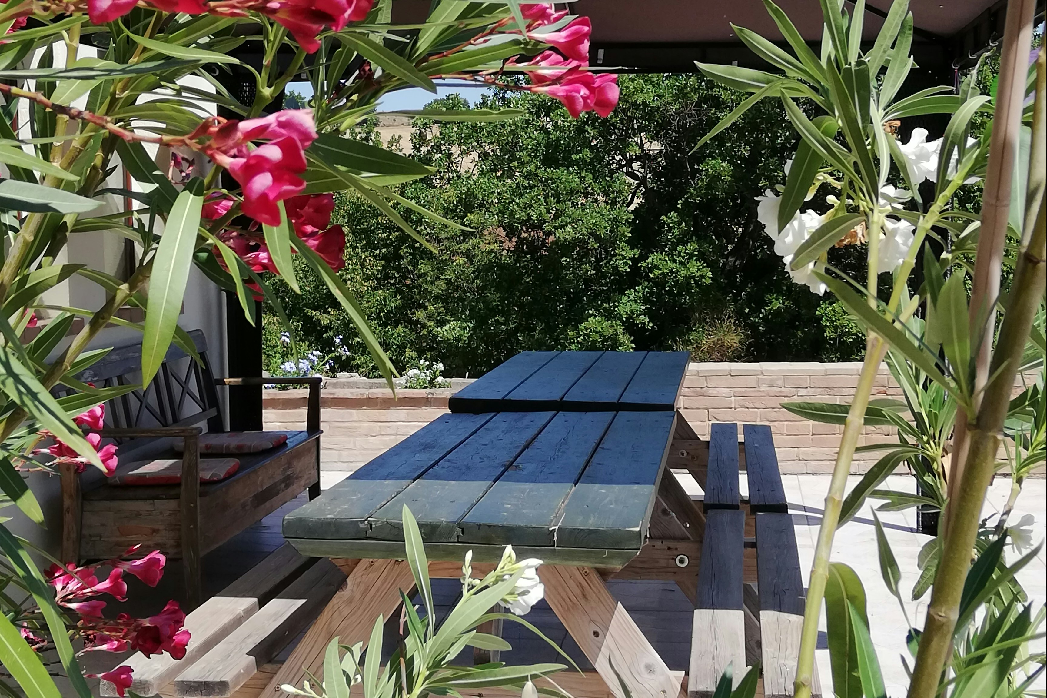 Minicamping Huisopdeheuvel - Terrasse mit Picknickbänken