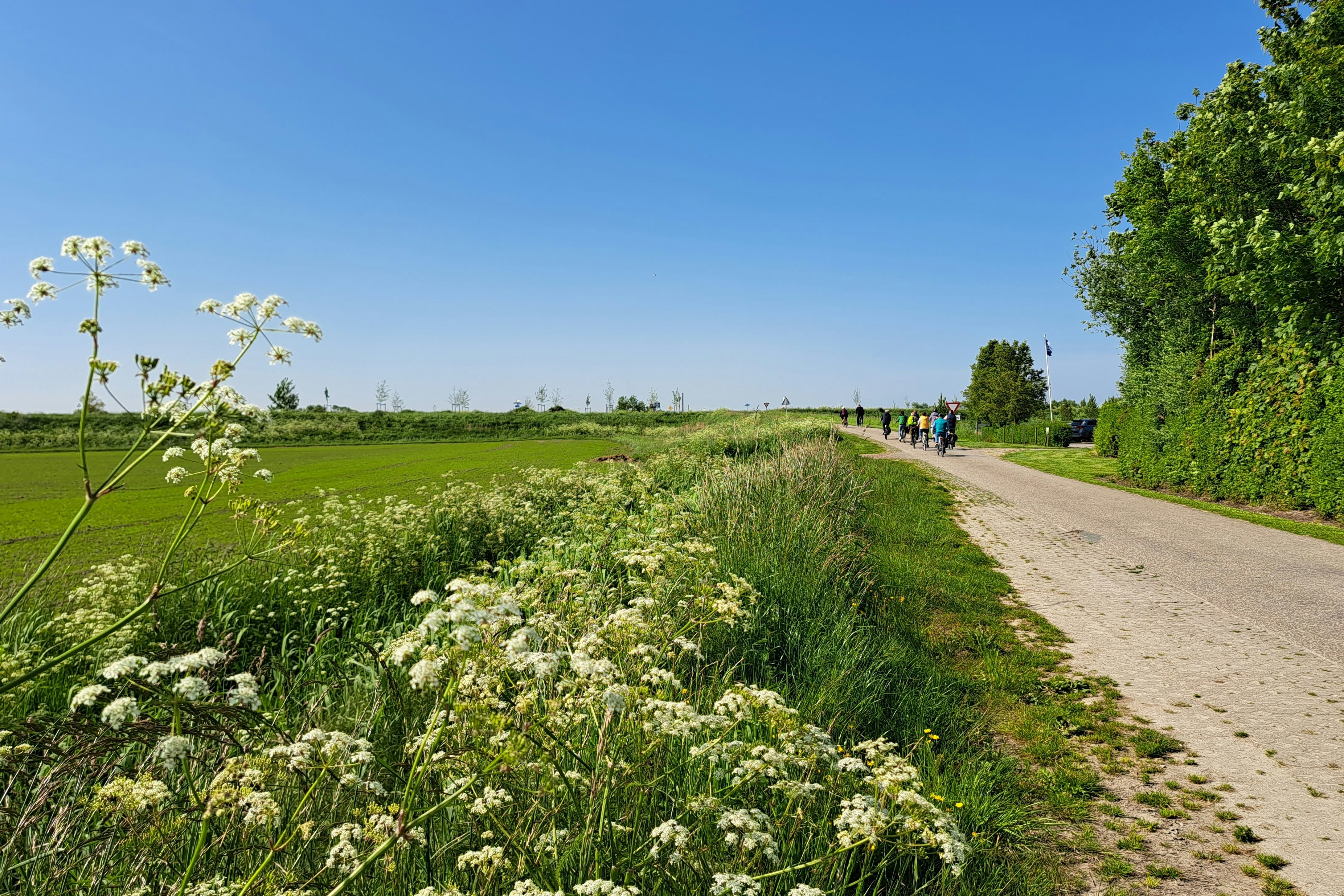 Minicamping Klaverwijk - Fahrradwege in der Umgebung des Campingplatzes