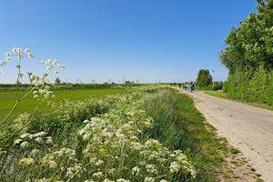 Minicamping Klaverwijk - Fahrradwege in der Umgebung des Campingplatzes