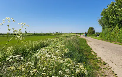 Minicamping Klaverwijk