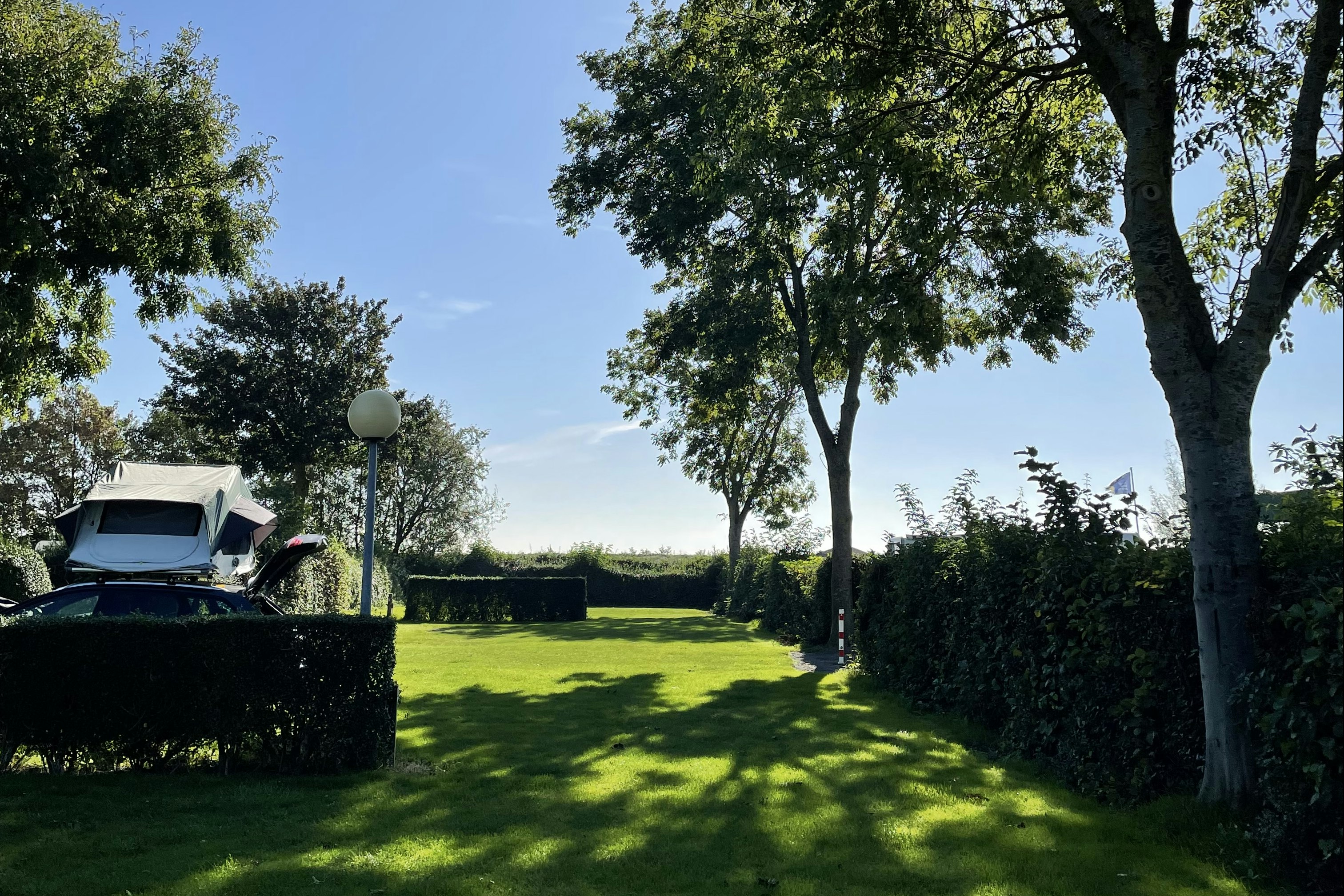 Minicamping Klaverwijk - Standplatzwiese auf dem Campingplatz