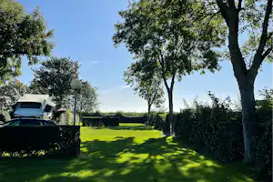 Minicamping Klaverwijk - Standplatzwiese auf dem Campingplatz